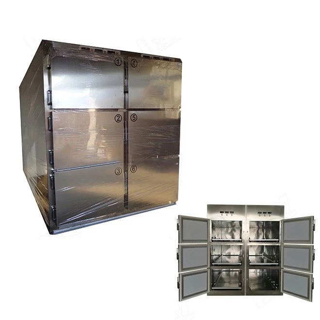 6-Body Mortuary Body Refrigerator, Medical Mortuary Freezer Price