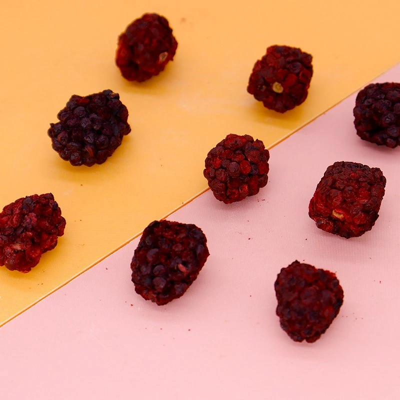 Congelamento de qualidade superior preço Frutas secas Blackberry secas