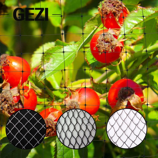 Agricultural Plastic Anti Bird Net Netting 12 M X for Fruit Trees