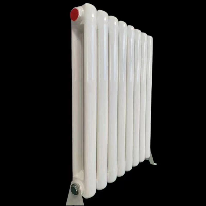 Model Powder Coated Mirror Design Vertical Heating Radiator