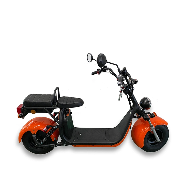 191*38*77cm Non-Foldable Everun China Scooter for Adults Electric Scooters Mini