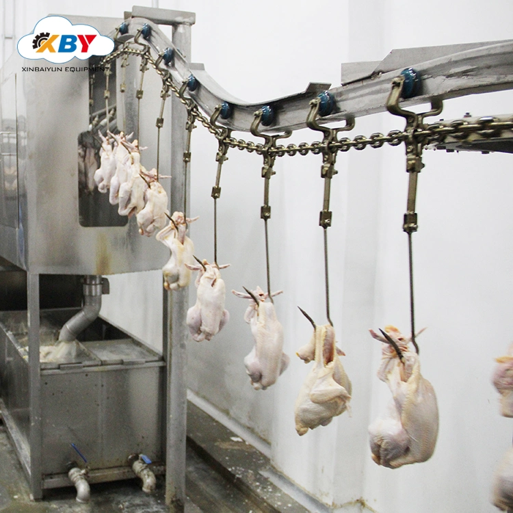 Ligne d'abattage de poulet de la volaille halal de l'équipement de l'abattage de poulets en abattoir de la machinerie