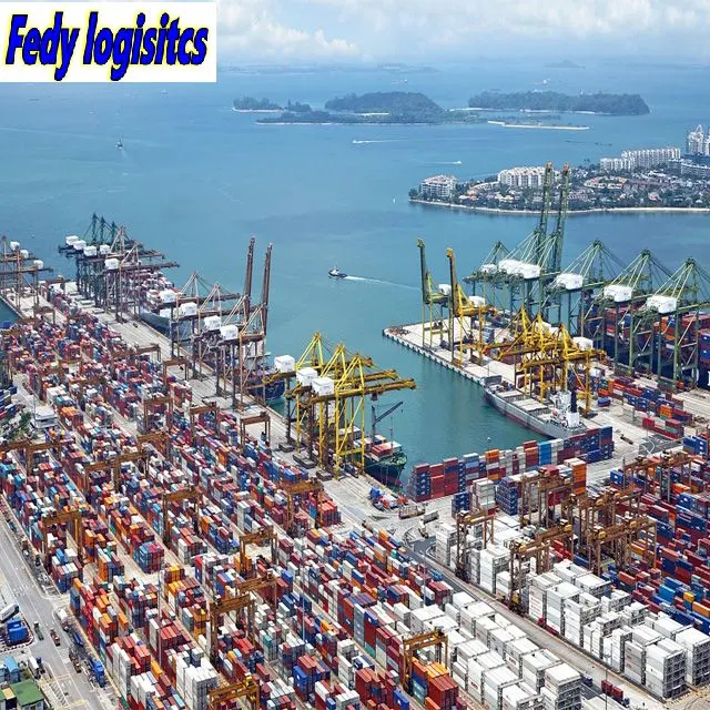 Professional Sea Freight Railway Forwarder Agent Shipping From China to Europe/Koper