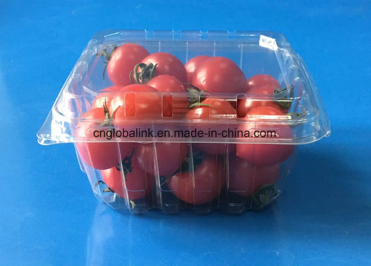 Food Grade Plastic Fruit Packaging Container for Tomatoes 250 Grams FDA Approvel