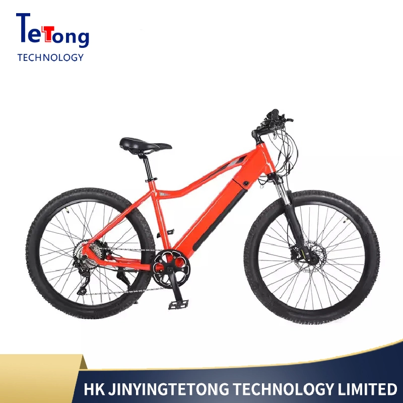 Fastest Long Range 36V 250W Mountain Bike Wholesale/Supplier Electric Bike