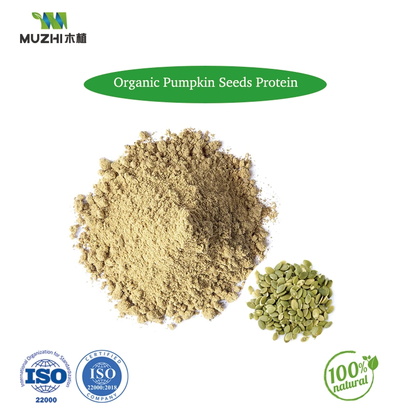 Les graines de citrouille la poudre de protéine additif