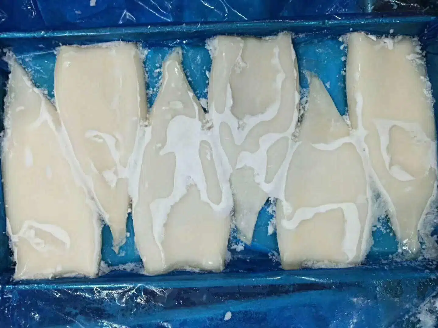 Frozen Seafood Frozen Squid Tubes