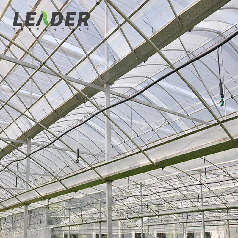 Installed Easily Commercial Agricultural Multi-Span Film Plastic Greenhouse for Sale