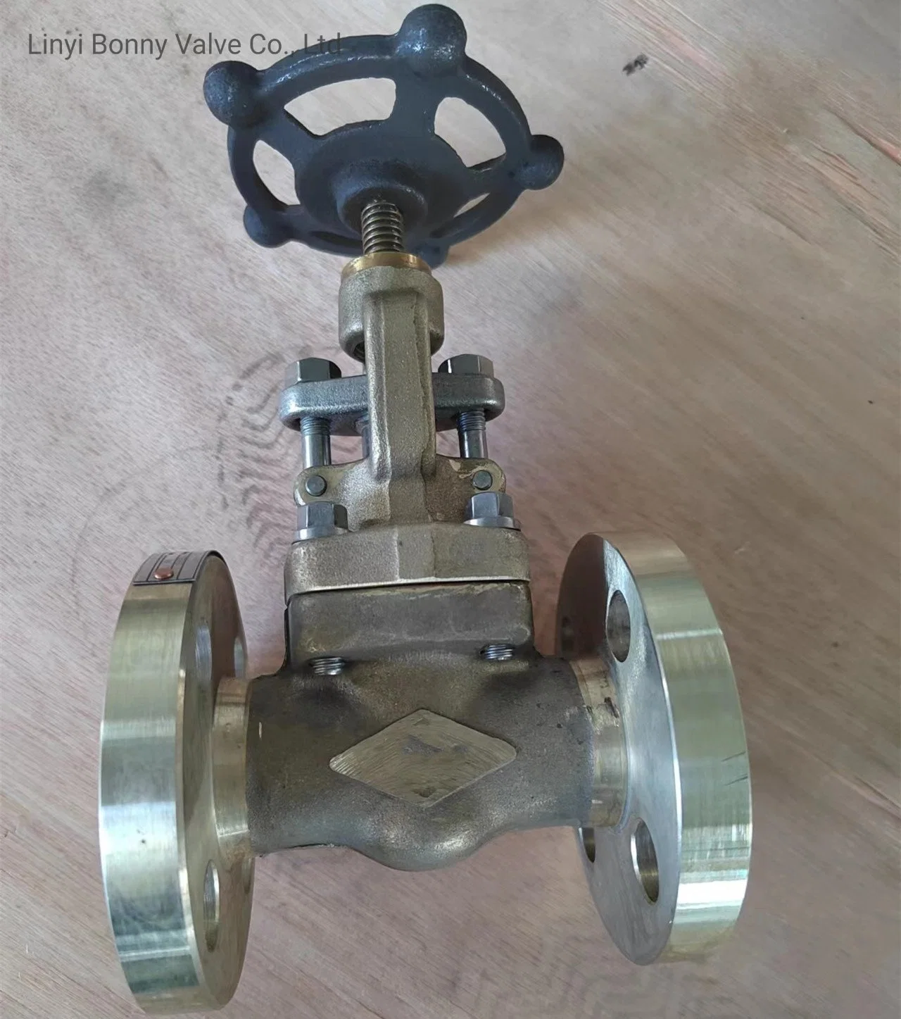 Double Flanges Globe Valve with A105 1500lb