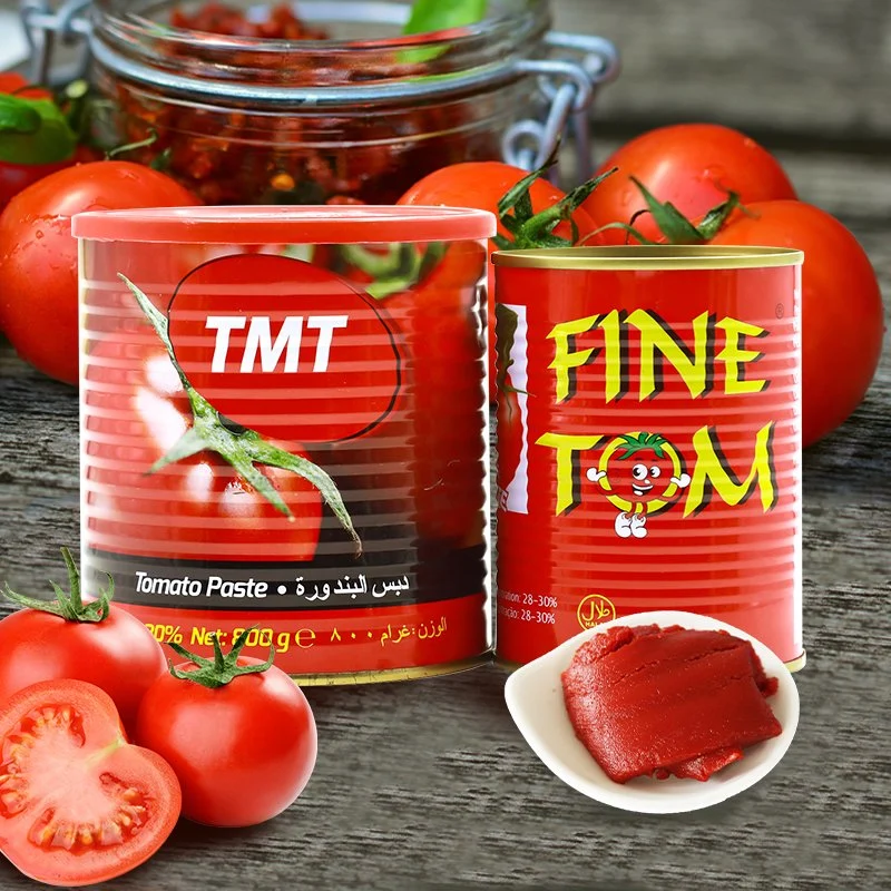 Tomato Concentrated Hot Sauce Branded Food Tomato Paste