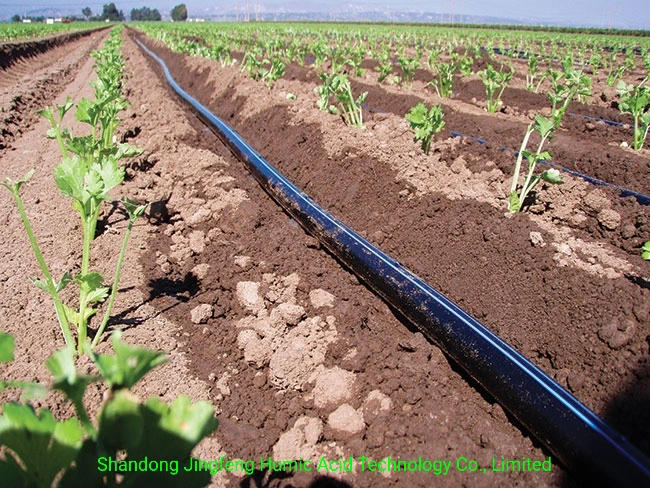 100% soluble en agua con ácido húmico precios bajos de potasio Humate fertilizante