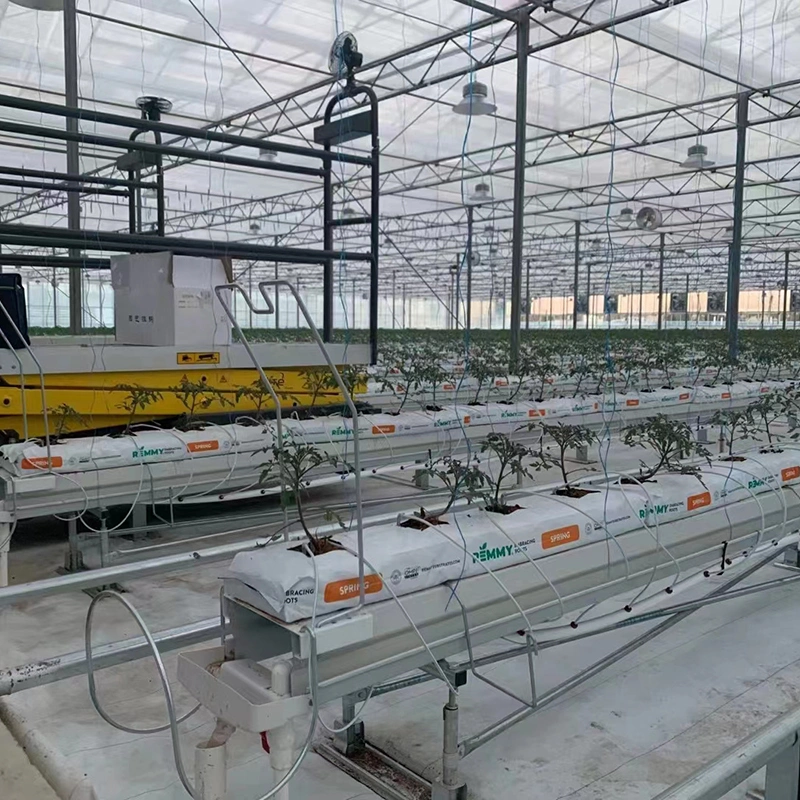 Agricultural Multi-Span Plastic Glass Greenhouse Hydroponic Vertical Agricultural System Greenhouse