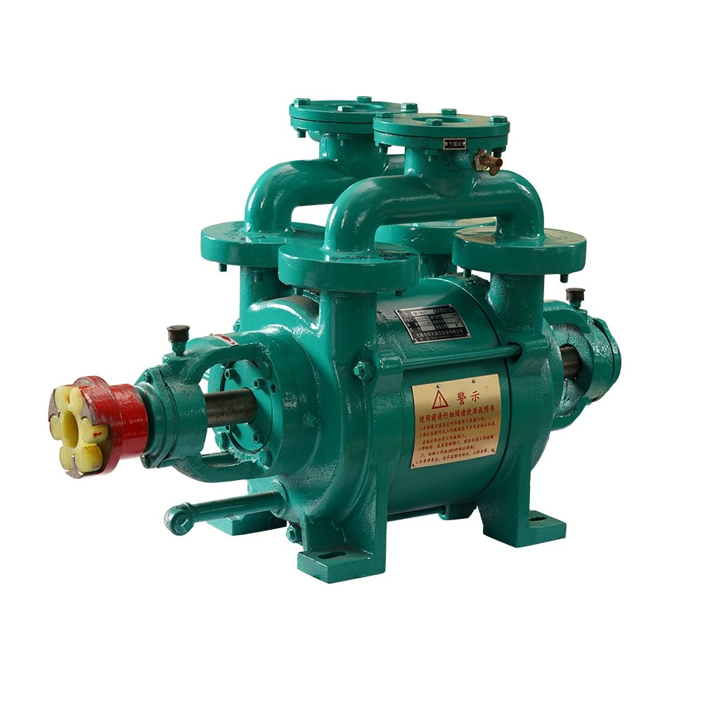 Sk Series Electric 2 Stage Water Ring Liquid Ring Vacuum Pump for Industrial