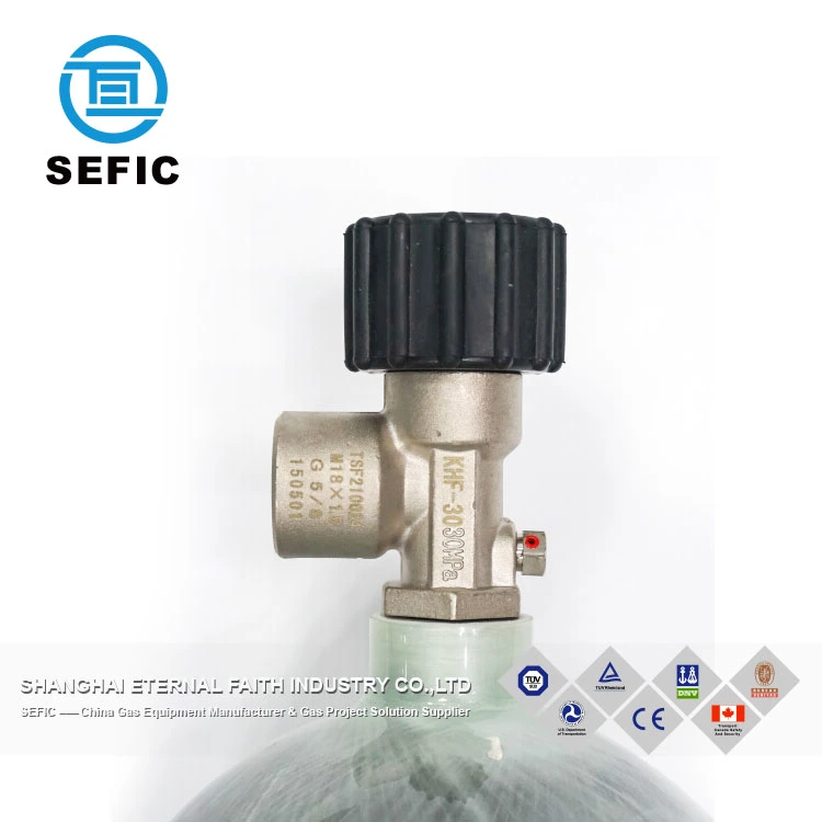 Shanghai 1.6L Sefic 300cc Bottle High Pressure Carbon Fiber Tanks