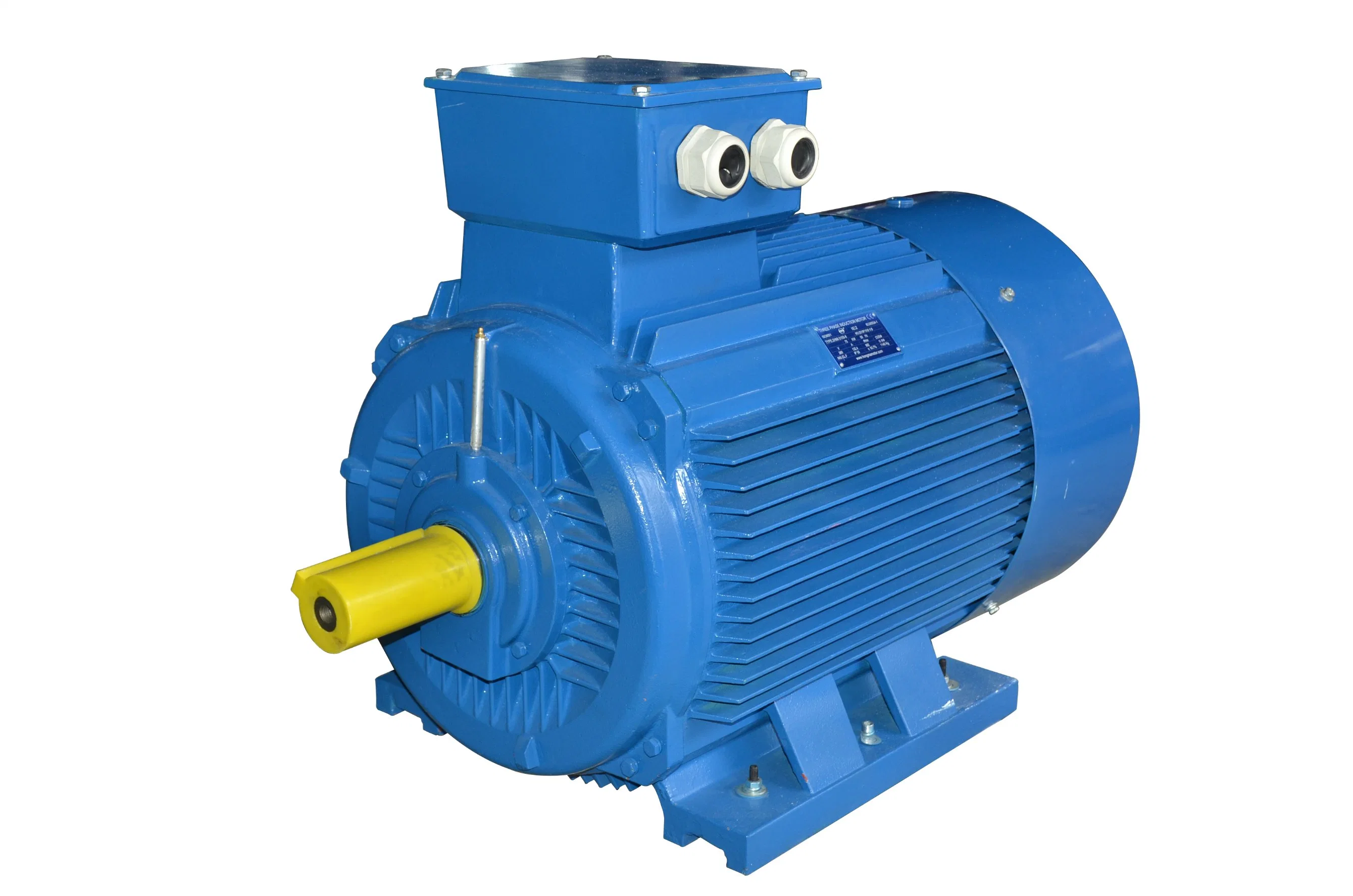 2HMI Series Motor/Ie2 Eff1 High Efficiency Electric Motor Cast Iron