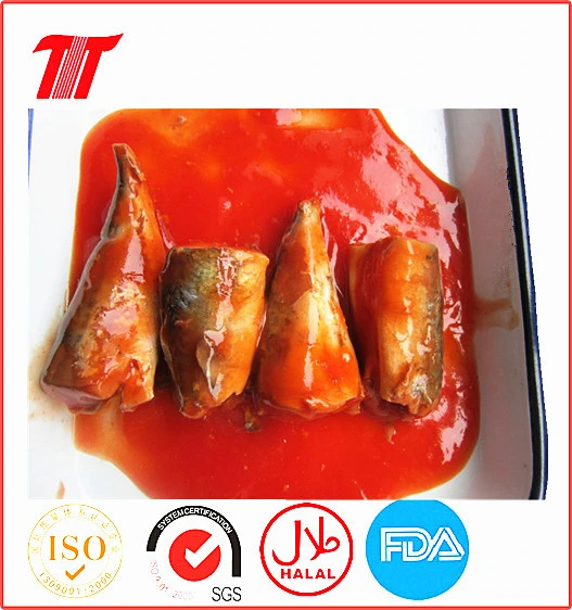 Canned Sardine in Oil 125g