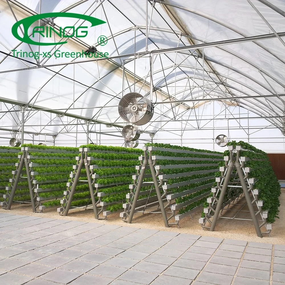 Intelligente Multi-funktionale Kultivierung Hydroponics System Film Gewächshaus für Gemüse