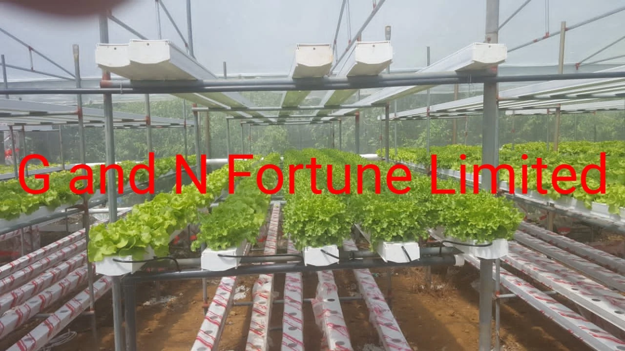 Nft Indoor Vertical Hydroponic Growing Irrigation Complete Whole System Use for Grow Lettuce and Other Leafy Vegetables