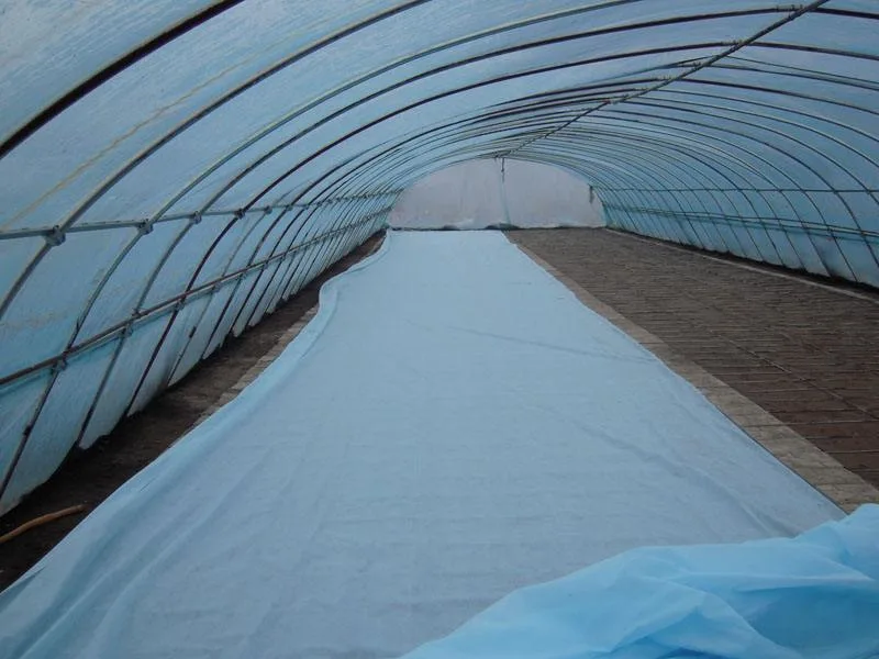 PP Spunbond Nonwoven Products Used for Plant Protection