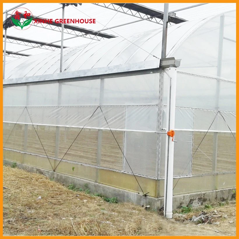 Hydroponics Film Multi Tunnel Garden Greenhouse Flower House