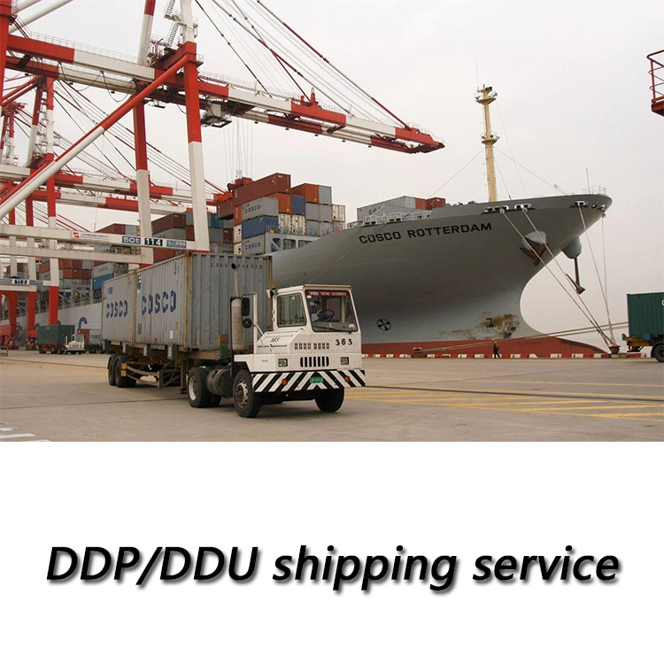 Drop Shipping E-Commerce Ocean Shipping Company to USA