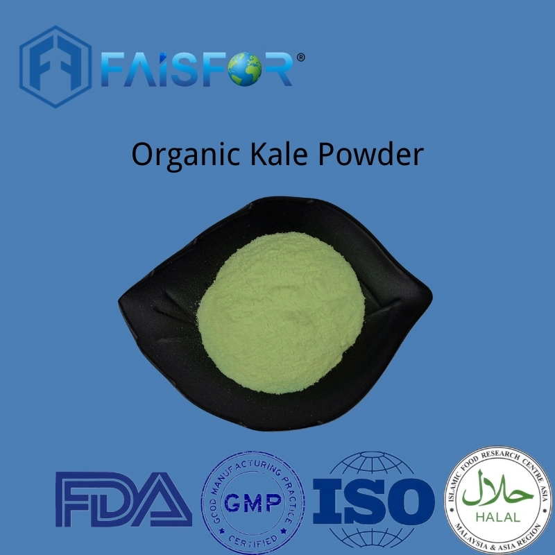 Alimentation en usine Superfood 100% Pure Organic Kale Leaf Powder