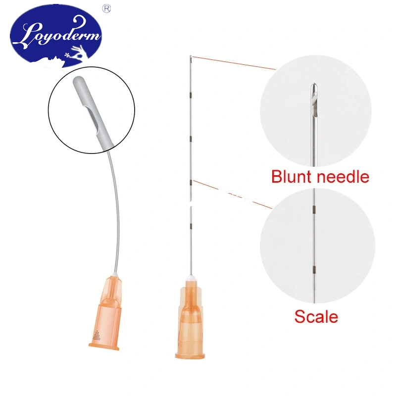 Quickly Shipping Sterile Disposable Medical Micro Cannula with 22g 27g 50mm Needle