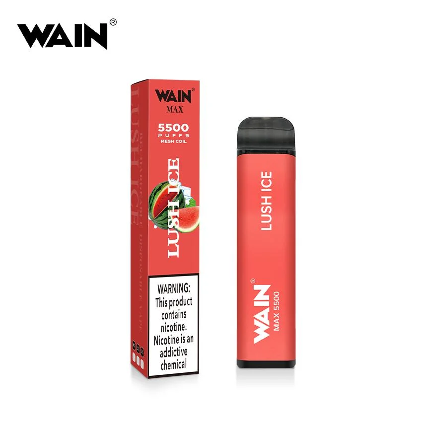 Original Brand Wain Max Disposable/Chargeable vape 5500 Puffs Pod Kit with 10 Flavors