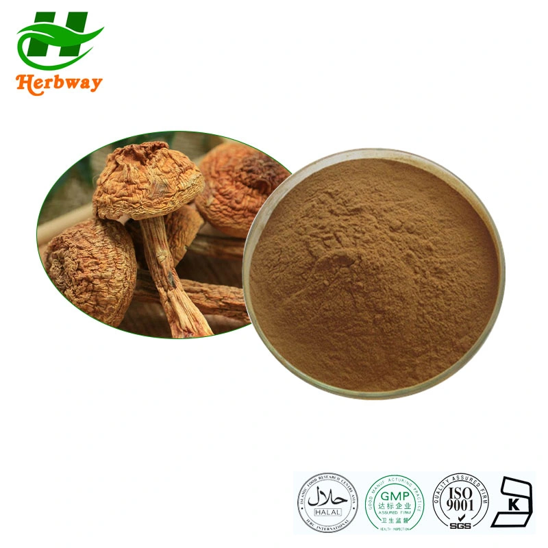 Herbway Cordyceps Acid Antibacterial Regulating Immunity Agaricus Blazei Cordyceps Sinensis Extract