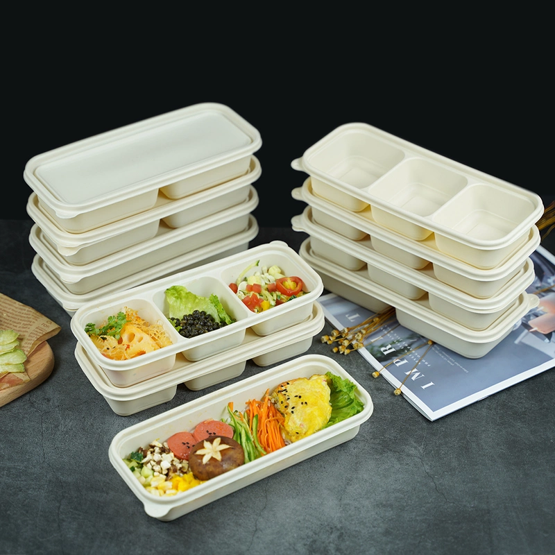 Biodegradable Sugar Cane Lunch Bento Box with Lid