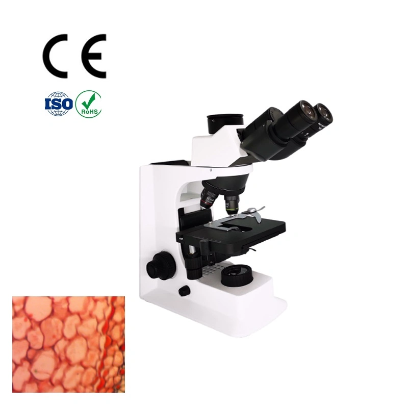Système optique Smart-1tr microscope Olympus Cx23, Olympus Cx43 microscope biologique Cx33 Olympus