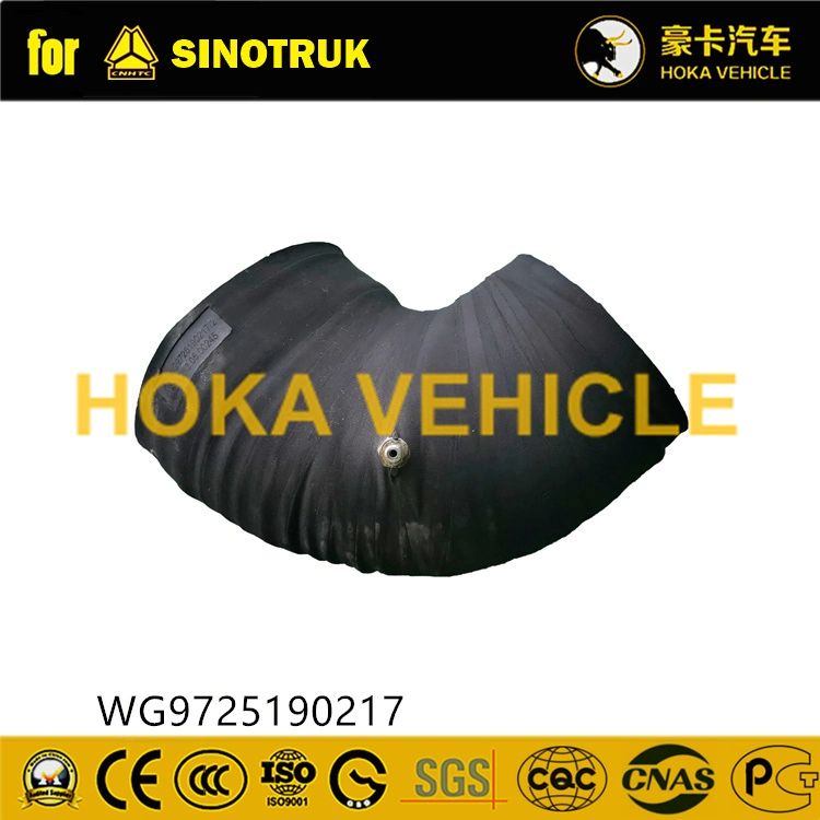 Camion HOWO Sinotruk Original pièces de rechange pour filtre à air du tuyau d'admission Assy Wg9725190217