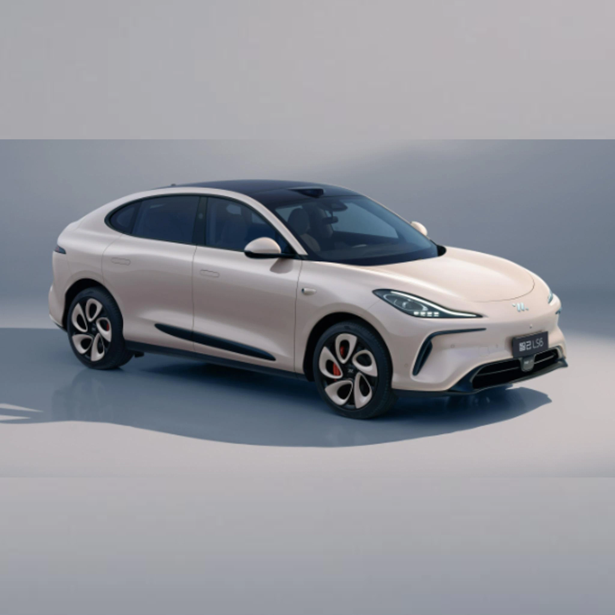 2023 Nuevo coche eléctrico LS6 2023 LS6 2023 de alta potencia 4WD Zhiji LS6 coches deportivos vehículos nuevos de energía