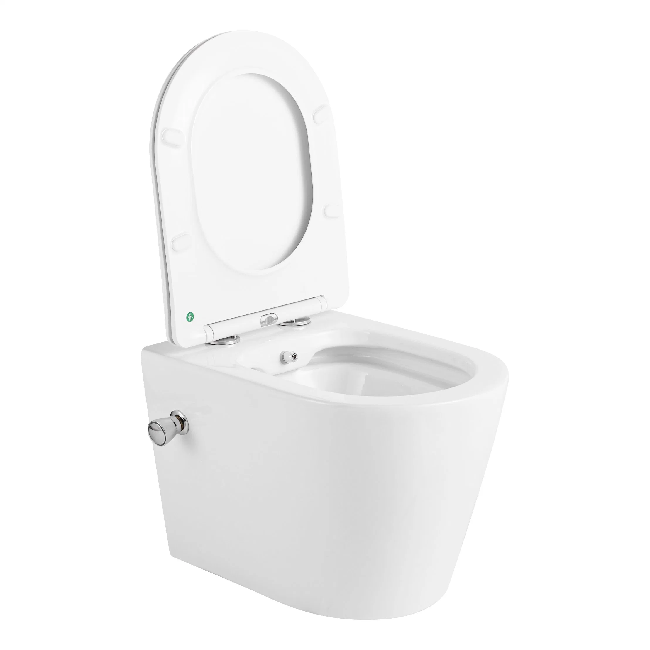 Matt Color OEM ODM Supplier Wc Suspendu Inodoro High quality/High cost performance  European Standard Ceramica Wall Hung Water Closet Mounted Toilet with Bidet