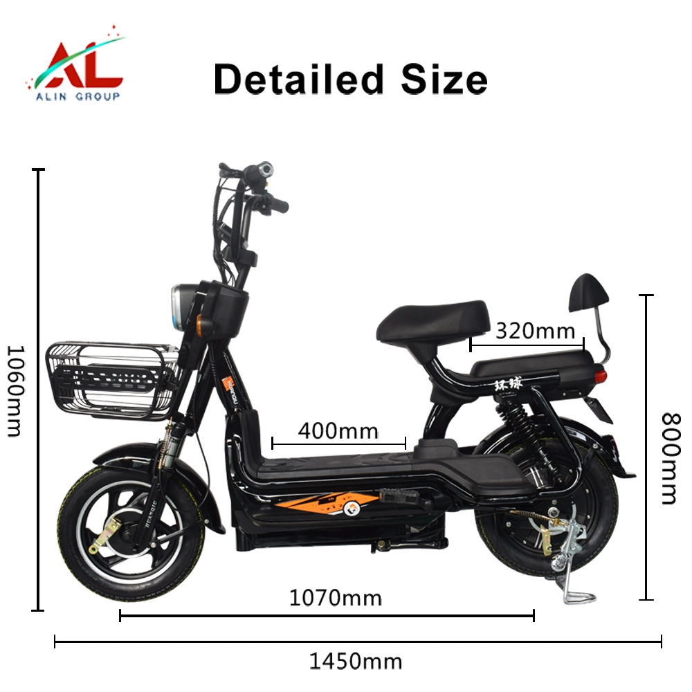 Al-Bt Electric Bike with Battery Price