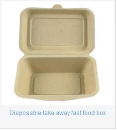 Mejor venta de tejidos de pulpa Bagsse vajilla biodegradable Bento Box