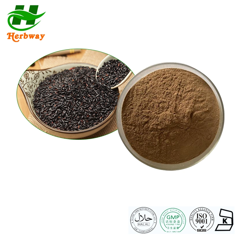 Herbway 100% de extractos vegetales de alta calidad de la fábrica el semen Sesami Nigrum extracto en polvo Extracto de sésamo negro 10%-90% de extracto de semillas de sésamo negro Sesamin