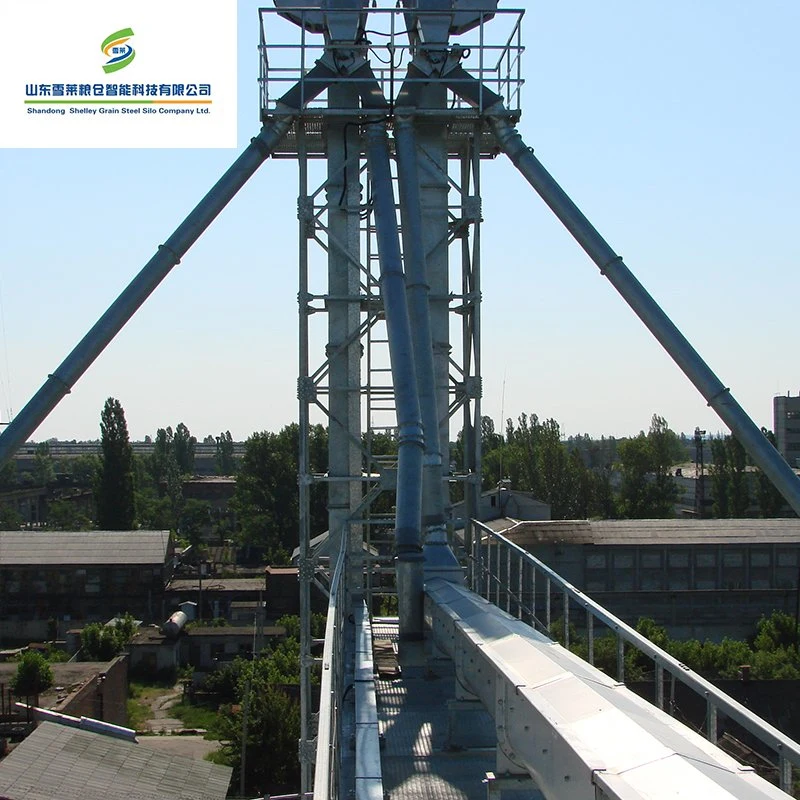 Hot Sale élévateur à godets de l'industrie Prix pour le grain en vrac du matériel/de/maïs grain de riz/Business