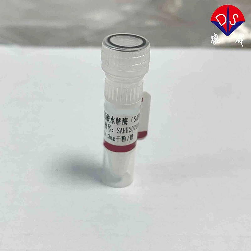 Cystationine Beta Lyase, Cbl, The Core Raw Material of The Cystationine HCl Reagent Kit