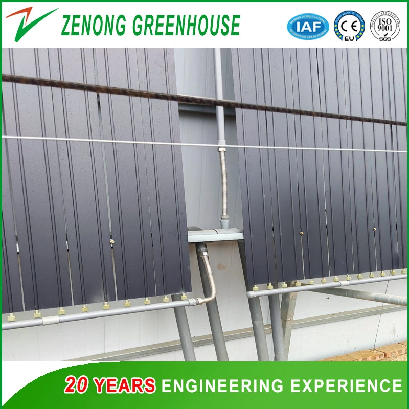 Quick Heat Accumulation Quick Heat Releasing Plate System Specially for Solar Greenhouse Cold Season Vegetables Culture with Low Cost Zero Energy Consumption