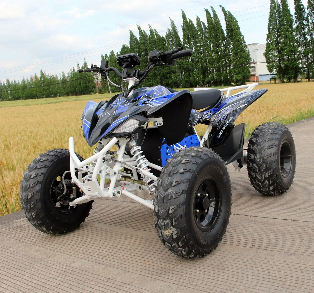 Dew Design Raptor Sport Electric Quad Bikes for Adults Four Wheels ATV 4000W 5000W 8000W