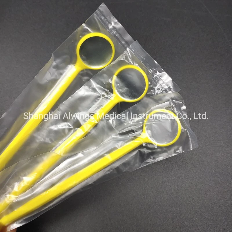 Dental Instruments Dental Disposable Mirror with Glass Lens Bag Packing