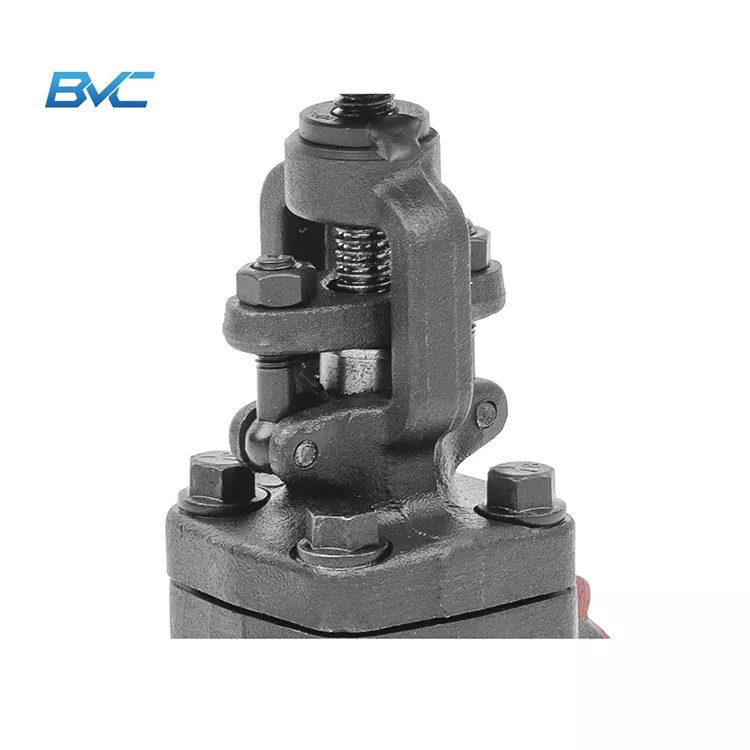 Forged Carbon Steel High Pressure Rating DN20 A105 Swtype Forged Cl800 Globe Valve