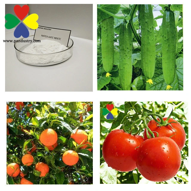 Regulador del crecimiento vegetal fertilizante foliar hormona Natca 98%TC