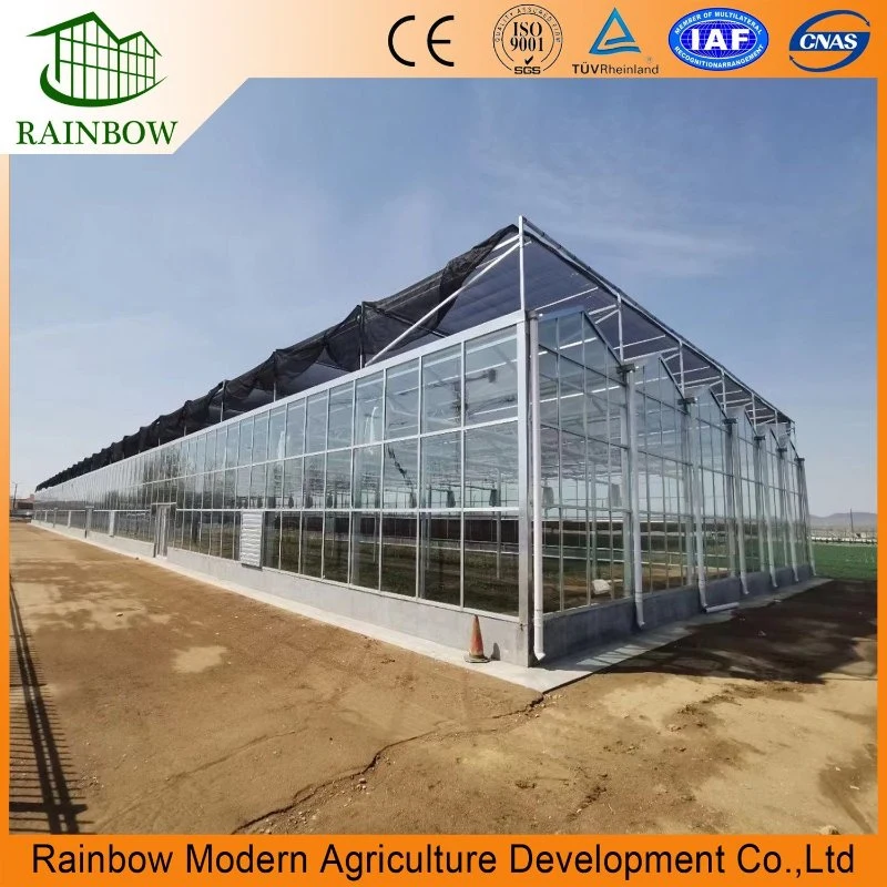 Smart Venlo Type Hollow Double Glass Greenhouse للالطماطم/ الخيار/ الخس / الفلفل / الكبسام أنيوم مع نظام الهيدرولوجيا ومؤشر LED تنمو خفيف