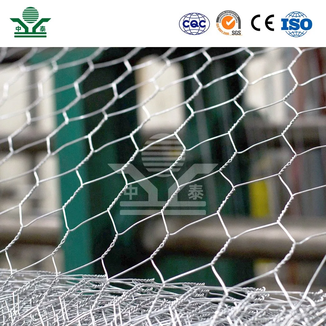 Zhongtai PVC Coated Hexagonal Wire Netting China Manufacturing 3/8 Inch Galvanized Chicken Wire Mesh Used for Green Coated Chicken Wire Fencing