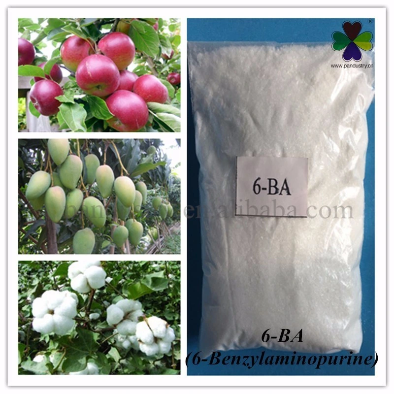 Agricultural Chemicals 6benzylaminopurine 6bap Growth Regulator