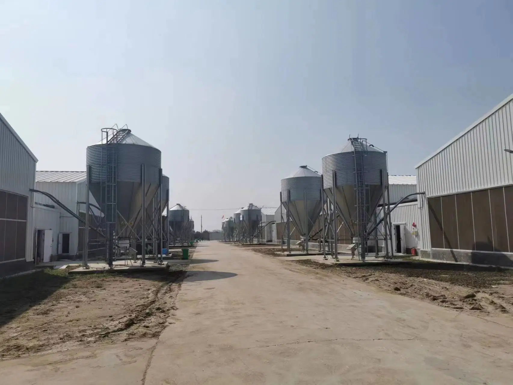 Automated Feeding Steel Strucutre Chicken Poultry House in Low Price and Hight Quality