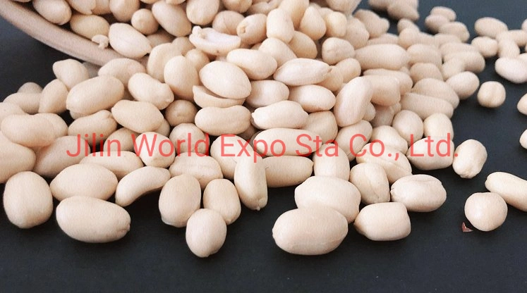 Factory Supplying Directly Blanched Peanut Kernels Seaflower 39/43