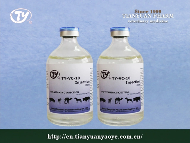 GMP Approved Compound Vitamin Injection for Livestock Use